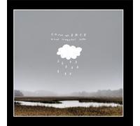 Commerce - What Happens Now