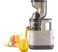 Commercial Cold Press Juicer,500W Electric Masticating Juicer Machine with 85mm Large Feed Chute & 2 Cups,Efficient Pulp Separation Technology,for Fruit Shop,Home(White)