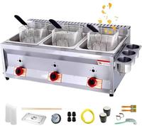 Commercial Countertop LPG Gas Deep Fat Fryer, Dual Tanks with Lid, Stainless Steel, Large Capacity for French Fries, Home Kitchen Restaurant Use