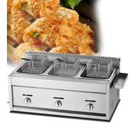 Commercial Deep Fryer Countertop LPG Gas Stainless Steel Double Basket Lid French Fries Kitchen Restaurant