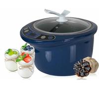 Commercial Electric Garlic Ferment Machine, Multifunctional Yogurt Maker, Automatic DIY Cooker for Garlic, Natto, Kimchi, Dough, and Rice Fermentation