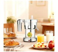 Commercial Juice Extractor, Electric Citrus Juicer,Large Feed Chute Heavy Duty Centrifugal Juicer Machine,Stainless Steel Juice Extractor with filter for juice shops, restaurants A2000(550W)