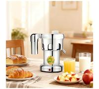 Commercial Juice Extractor, Heavy Duty Electric Centrifugal Juicer Machine With Large Feed Chute & Filter, Fruit Vegetable Juice Maker For Juice Shops Restaurants Cafes(A3000(370W))