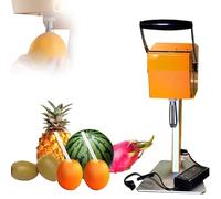Commercial Juicer for Orange, Watermelon, Pineapple - 10S Fast Juicer with Corer and Double Blades, No Peeling Required, Fits Fruits Φ88-120mm