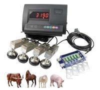 Commercial Livestock Scale Kit 5000KG Capacity, C3 Accuracy, Leveling Feet for Uneven Surfaces, Stainless Steel Junction Box for Animal Weighing (Goats, Sheep, Pigs)
