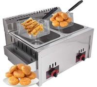 Commercial Multi-function Gas Fryer with Temperature Control - Food-Grade Stainless Steel - Stainless Steel LPG Fryer for Home and Commercial Use