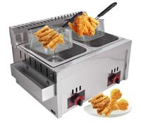 Commercial Stainless Steel Liquefied Gas Fryer - 10L*2 Professional Countertop Fryer with Adjustable Firepower and Temperature Control