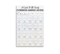 Common Amino Acids EducationalClassic Aesthetic Poster Decorative Painting Canvas Wall Art Living Room Poster Bedroom PaintingUnframe-style 08x12inch(20x30cm)