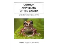 Common Amphibians of the Gambia