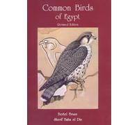 Common Birds of Egypt