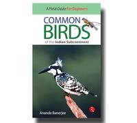 Common Birds of the Indian Subcontinent