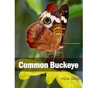 Common Buckeye butterfly: A Coffee Table Photo Book for Animal Lovers