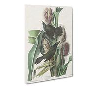 Common Crow Blackbird By John James Audubon Canvas Print | Gallery Wrapped 30mm Frame Wall Art | 30x20 inches | Ready to Hang | Retro Picture | Living Room Bedroom Lounge Office