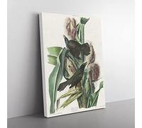 Common Crow Blackbird By John James Audubon Vintage Canvas Wall Art Print Ready to Hang, Framed Picture for Living Room Bedroom Home Office Décor, 76x50 cm (30x20 Inch)