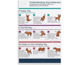 Common Dog Behaviors Explained Poster Dog Body Language Poster Metal Tin Sign Posters And Prints Wall Art Pictures for Living Room Bedroom Decor 8x12inch