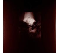 Common Eider - A Wound Of Body (VINYL) [VINYL]