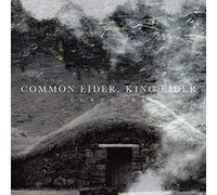 Common Eider / King Eider - Egregore