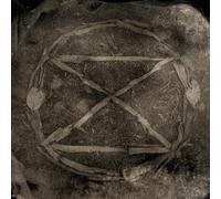 Common Eider, King Eider - Extinction