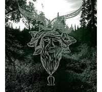 Common Eider - Yearn