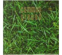 Common Ground - Mambo a Go Go [VINYL]