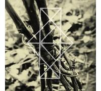 Common King Eider - Shrines For The Unwanted, Respite For The Cast Aside