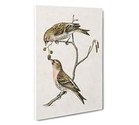 Common Linnet Birds by Von Wright Canvas Print | Gallery Wrapped 30mm Frame Wall Art | 30x20 inches | Ready to Hang | Modern Bird Picture | Living Room Bedroom Lounge Office