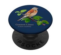 Common Linnet For Backyard Birders Song Birds Birding PopSockets Adhesive PopGrip