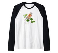 Common Linnet for Backyard Birders Song Birds Birding Raglan Baseball Tee