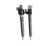 Common Rail Feul Injector 0445116037 AH4Q-9K546-BA LR054298 0986435429 Compatible with Land Rover Range Rover 4.4 TDV8 Engine
