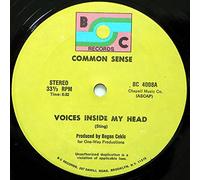 COMMON SENSE - Voices Inside My Head