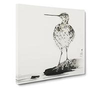 Common Snipe Bird by Watanabe Seitei Asian Japanese Canvas Wall Art Print Ready to Hang, Framed Picture for Living Room Bedroom Home Office Décor, 20x20 Inch (50x50 cm)