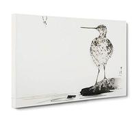 Common Snipe Bird by Watanabe Seitei Canvas Print for Living Room Bedroom Home Office Décor, Wall Art Picture Ready to Hang, 30 x 20 Inch (76 x 50 cm)