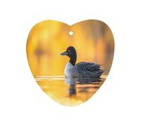 Common Sunset Car Aromatherapy Tablets Air Freshener Hanging Scented Cards for Rooms Bathrooms Wardrobe Love form