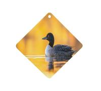 Common Sunset Car Aromatherapy Tablets Air Freshener Hanging Scented Cards for Rooms Bathrooms Wardrobe Rhombus