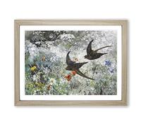 Common Swift Birds By Bruno Liljefors Classic Painting Framed Print | A2 Oak Framed Wall Art | Ready to Hang | Classic Historical Picture | Living Room Bedroom Lounge Office