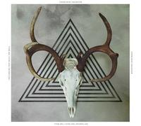 COMMUNIST DAUGHTER - Cracks That Built the Wall [VINYL]