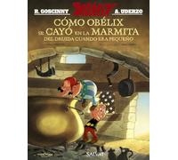 Como Obelix se cayo en la marmita del druida cuando era pequeno / How Obelix Fell into the Magic Potion When he was a Little Boy (Asterix)