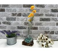 Compact 25cm Molten Glass on Root Vase Display Flower Stem Holder Fluted