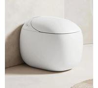 Compact Bidet Toilet, Dual Flush Smart, One-Piece Tankless Design, Instant Warm Water, Dryer and Deodorization Feature