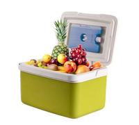 Compact Cooler Container 6L 9L, Thermal Cooler for Day Trip Provisions, insulated coolers bag with handles,personal coolers for camping,Picnic Food Preservation, and Carrying Drinks Outdoors