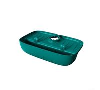 Compact Dish Drainer Rack 10.6in for Sponges(Green)