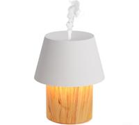Compact Essential Oil Diffuser for Small Spaces - USB Electric Scented Humidifier with Night Light for Baby Room 14.3cm(C)