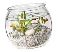 Compact Fish Tanks Clearness and Sturdy Frame for Small Turtles or Fish Wonderful Gift Selection Unbreakable Bowl