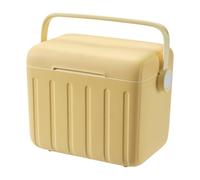 Compact Ice Chest, Portable Cooler Box with Ice Packs, 6L Travel Mini Fridge Alternative for Beverage Storage, Outdoor Sports Gym BBQ Hiking Picnic Beach Studio Power-Free Cooling