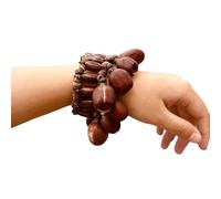 Compact Light Weight Natural Fruit Shell Hand Bells Wrist Shaker for Travel Music Spiritual Relax Percussion Instruments Natural Fruit Shell