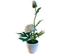 Compact Potted Silk Peony For Small Spaces Including Nightstands Bookshelves And Reception Counters In Public Areas(Milk White)