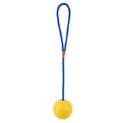 Compagnie Dog Toy - Interactive Tubular Pet Training Ball, Durable Chew Toy, Aggressive Player Tag Ball, Bite Resistant with Rope | B