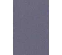 Companion to Heidegger′s ′Introduction to Metaphysics′