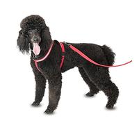 COMPANY OF ANIMALS Comfy Harness, Size Medium, Lightweight, Fleece-Lined, Reflective & Adjustable Dog Harness, Great for Puppy Walks, For Small, Medium & Large Dogs, Red