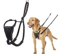 CoA Halti No Pull Harness Medium